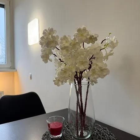 Apartment Cozy & Renovated In A Practical Location *