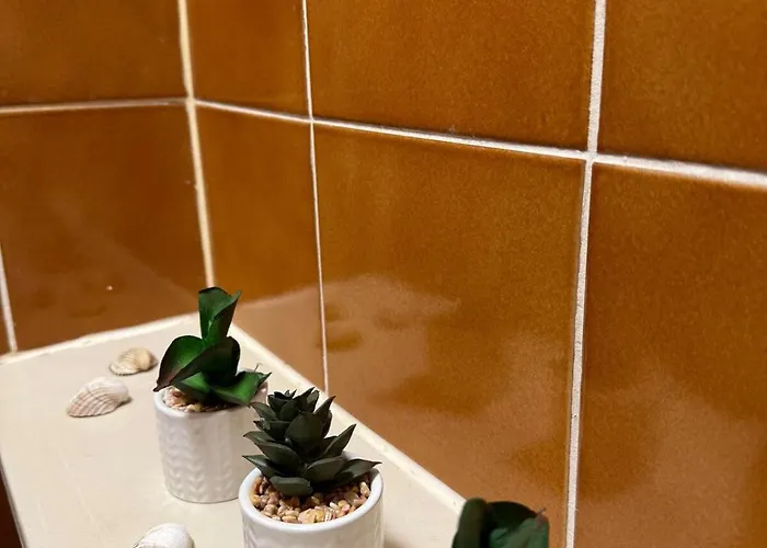 Cozy & Renovated In A Practical Location Appartamento