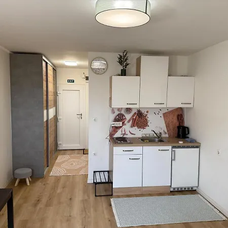Cozy & Renovated In A Practical Location * Ljubljana