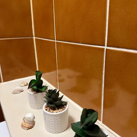 Cozy & Renovated In A Practical Location Apartamento